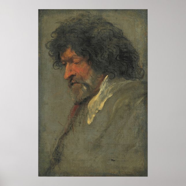Van Dyck - Head Study Of A Man Poster (Front)