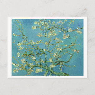 Van Gogh Almond Blossom 1890 Postcard