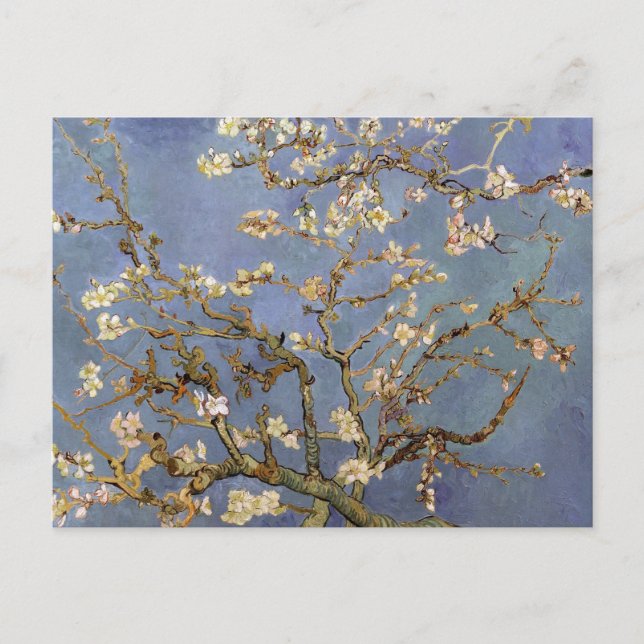 Van Gogh Almond Blossom Postcard (Front)