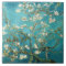 Van Gogh Almond Blossoms art white flowers on blue
