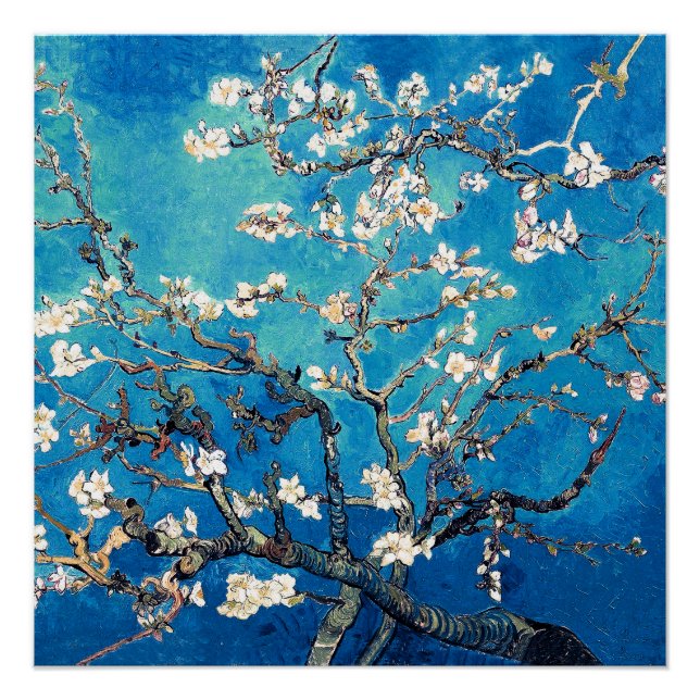 Van Gogh Almond Blossoms bright turquoise Poster (Front)