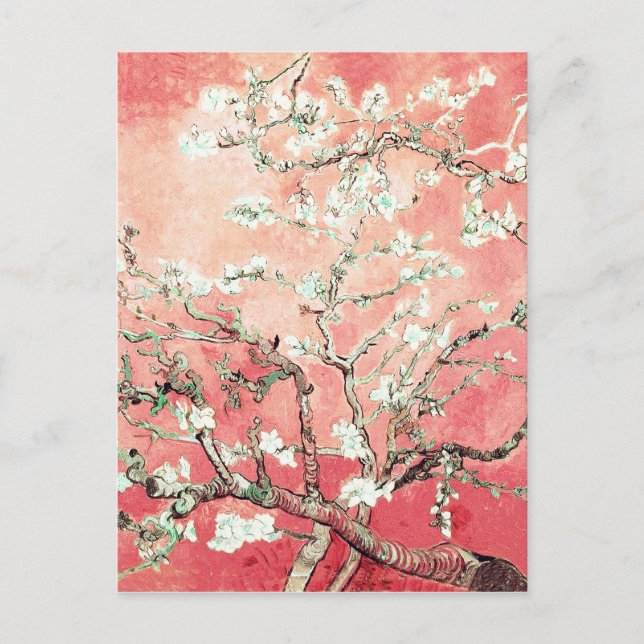 Van Gogh Almond Blossoms Peach Postcard (Front)