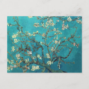 Van Gogh Almond Blossoms Postcard