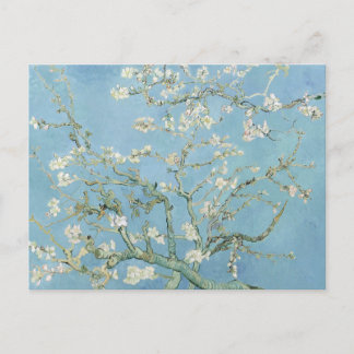 Van Gogh Almond Blossoms Postcard