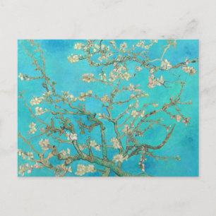 Van Gogh Almond Blossoms Postcard