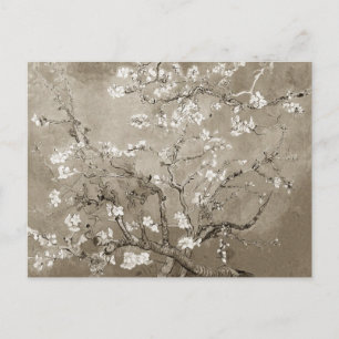 Van Gogh Almond Branches in Bloom - Sepia Postcard