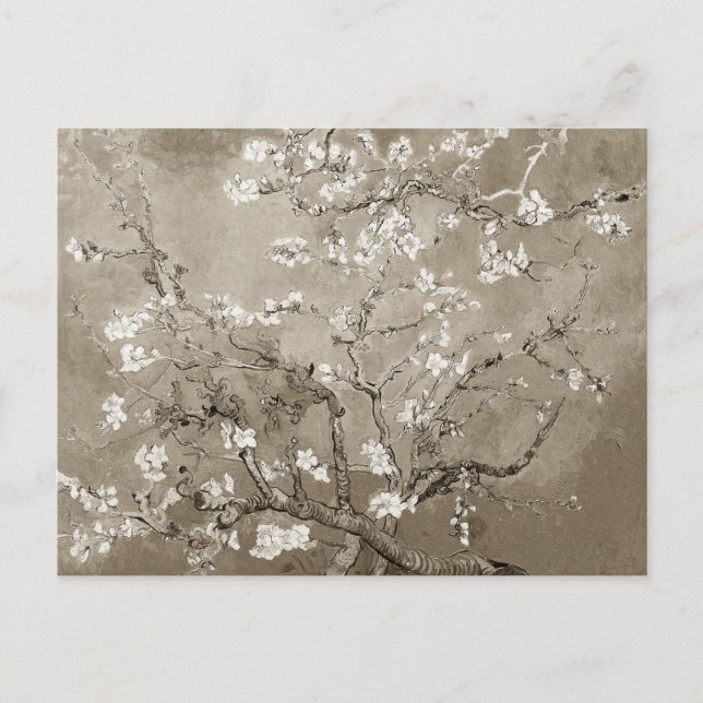 Van Gogh Almond Branches in Bloom - Sepia Postcard (Front)