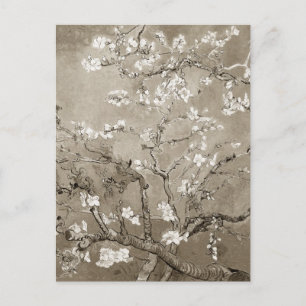 Van Gogh Almond Branches in Bloom - Sepia Postcard