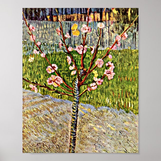 Van Gogh - Almond Tree in Blossom Poster (Front)