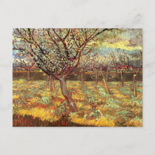 Van Gogh Apricot Tree in Blossom, Vintage Fine Art Postcard