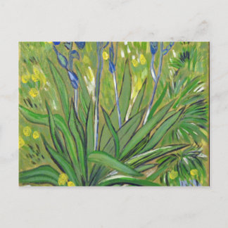 Van Gogh art  Irises, acrylic reproduction Postcard