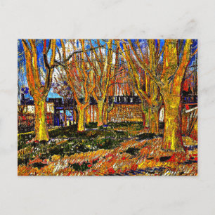 Van Gogh - Avenue of Plane Trees Postcard