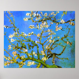 Van Gogh: Blossoming Almond Tree Branches Poster
