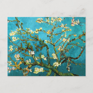 Van Gogh Blossoming Almond Tree Fine Art Postcard