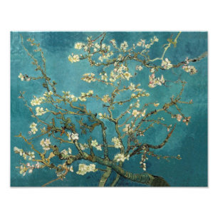Van Gogh - Blossoming Almond Tree Photo Print