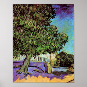 Van Gogh - Chestnut Tree In Blossom Poster