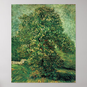 Van Gogh - Chestnut Tree in Blossom Poster