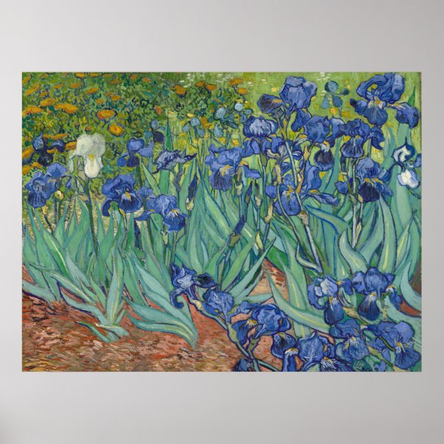 Van Gogh Classic Painting Irises Floral Botanical Poster (Front)