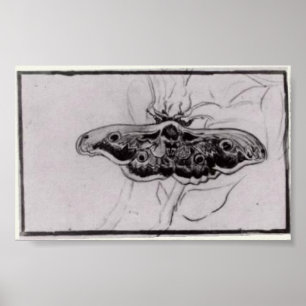 Van Gogh - Death's Head Moth Poster