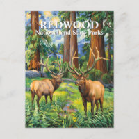 Van Gogh Elk Redwood California Forest Custom Text