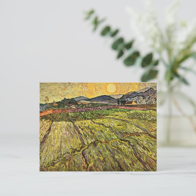 Van Gogh - Enclosed Field with Rising Sun Postcard (Standing Front)
