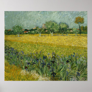 Van Gogh - Field With Flowers At Arles Poster