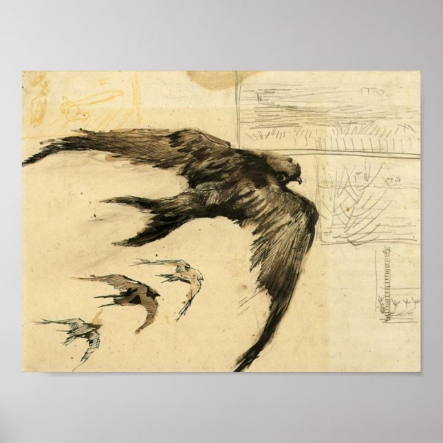Van Gogh - Four Swifts with Landscape Sketches Poster (Front)