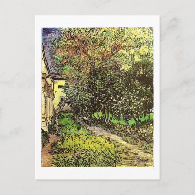 Van Gogh Garden St Remy Fine Art Postcard (Front)