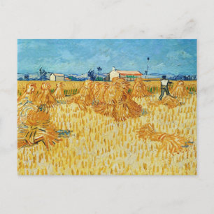 Van Gogh; Harvest in Provence Postcard