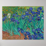 van Gogh - Irises (1889) Poster<br><div class="desc">In May 1889, after episodes of self-mutilation and hospitalisation, Vincent van Gogh chose to enter an asylum in Saint-Rémy, France. There, in the last year before his death, he created almost 130 paintings. Within the first week, he began Irises, working from nature in the asylum's garden. The cropped composition, divided...</div>