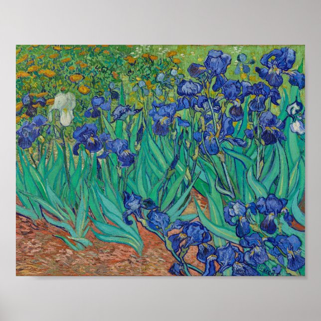 van Gogh - Irises (1889) Poster (Front)