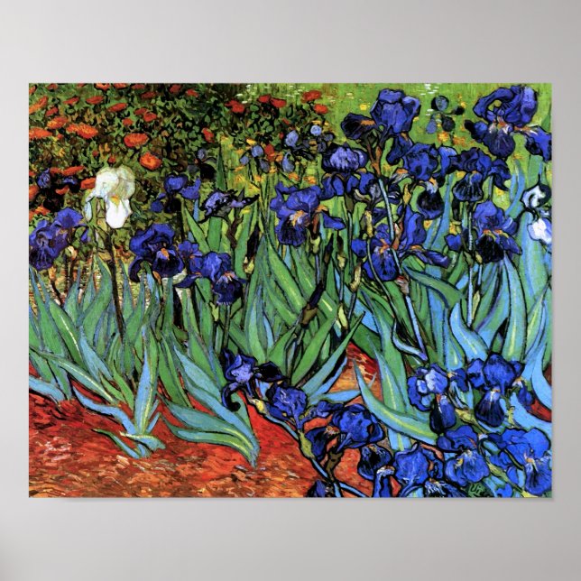 Van Gogh Irises (F608) Vintage Fine Art Poster (Front)