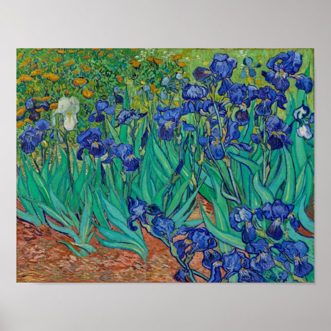 Van Gogh Irises Floral Painting Poster (Front)