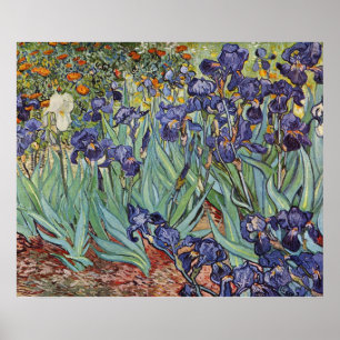 Van Gogh Irises Impressionist Flowers Poster