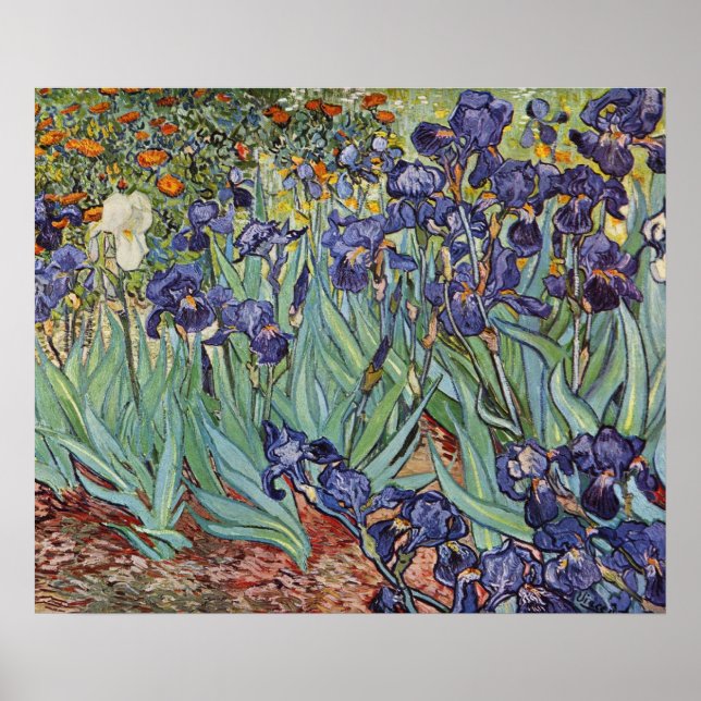 Van Gogh Irises Impressionist Flowers Poster (Front)
