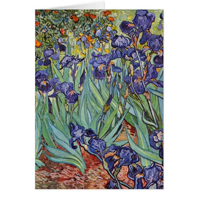 Van Gogh Irises Impressionist Painting (Front)