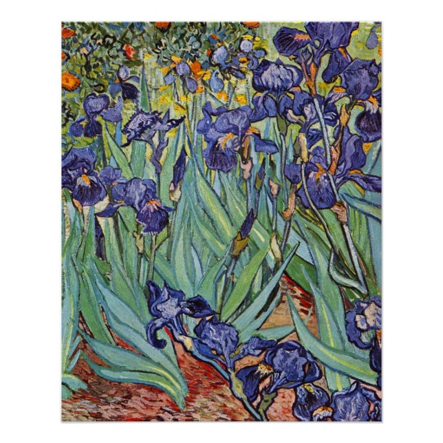 Van Gogh Irises Impressionist Painting Poster (Front)