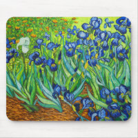 Van Gogh Irises
