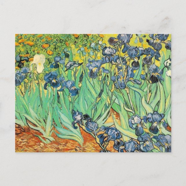 Van Gogh Irises Postcard (Front)