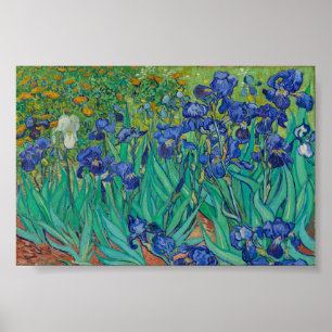 Van Gogh Irises Poster