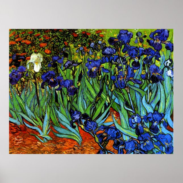Van Gogh - Irises Poster (Front)