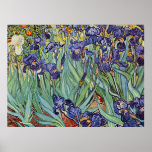 Van Gogh Irises Poster