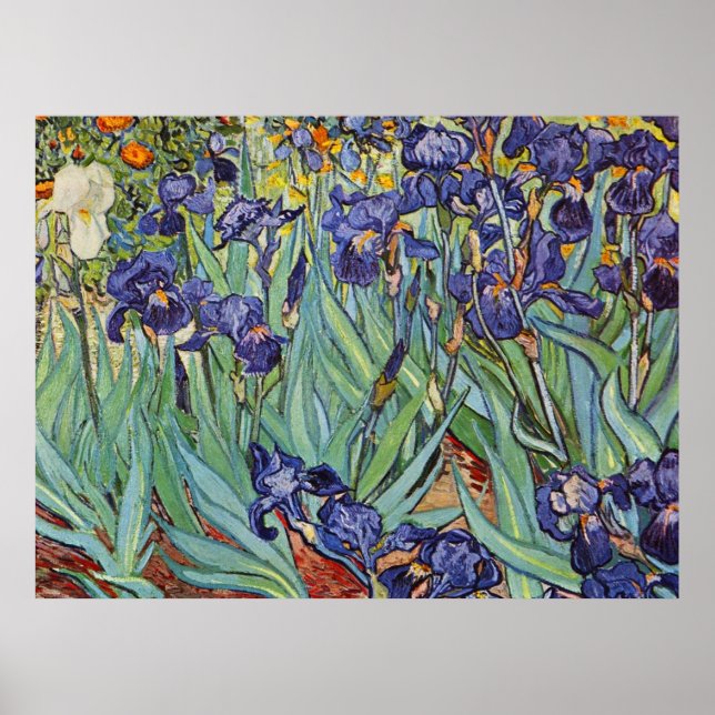 Van Gogh Irises Poster (Front)