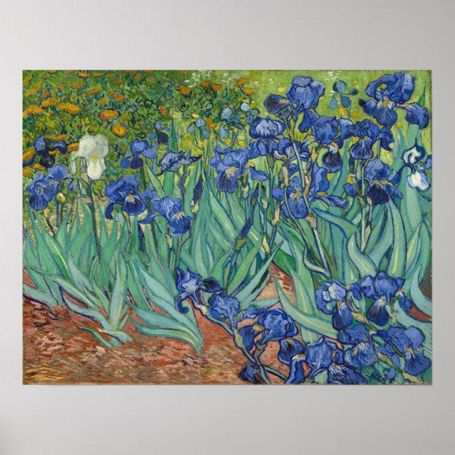 Van Gogh - Irises Poster (Front)