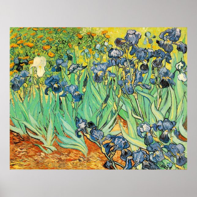 Van Gogh Irises Poster (Front)