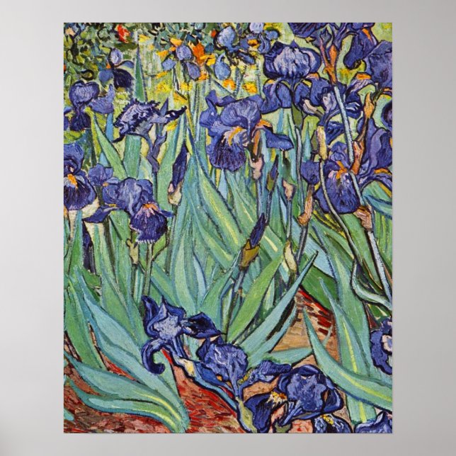 Van Gogh Irises Poster (Front)