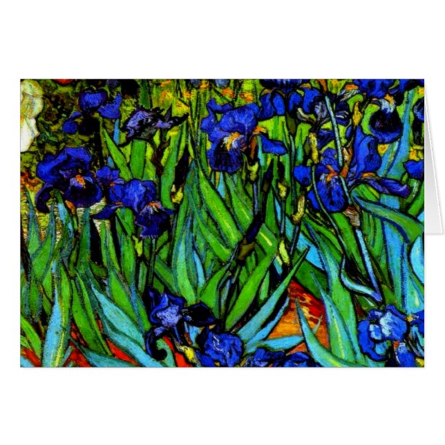Van Gogh - Irises, Vincent Van Gogh painting (Front Horizontal)