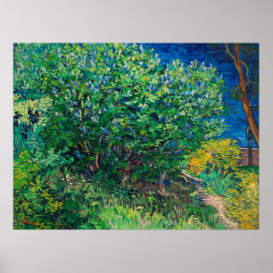 Van Gogh - Lilac Bush Poster