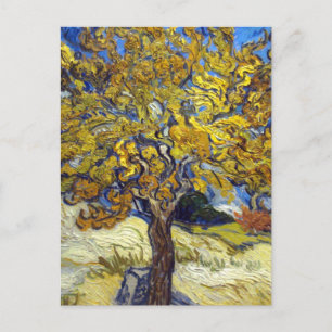 Van Gogh Mulberry Tree Masterpiece Art Postcard