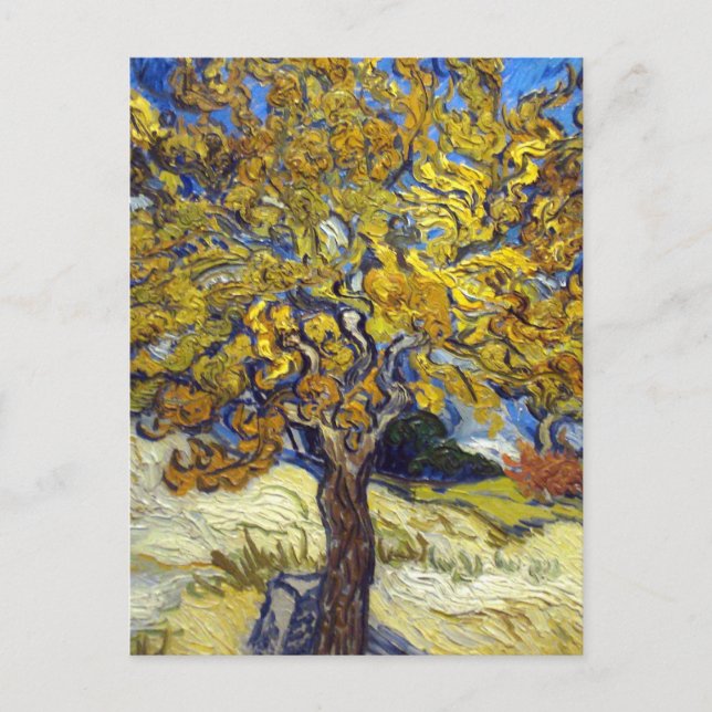 Van Gogh Mulberry Tree Masterpiece Art Postcard (Front)